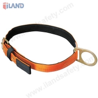 Safety Belt with single D-ring