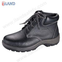 Safety Work Shoes, Padded Collar