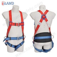 Full Body Harness with Hip Pad